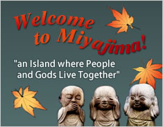 Welcome to Miyajima! an island where people and Gods live together!