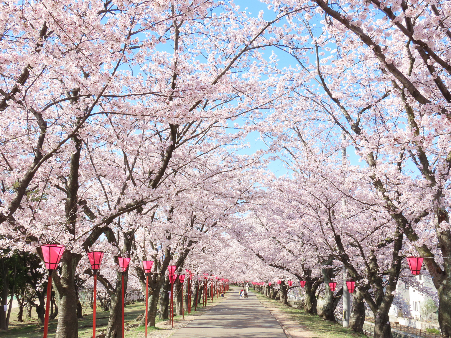 廿日市市の写真