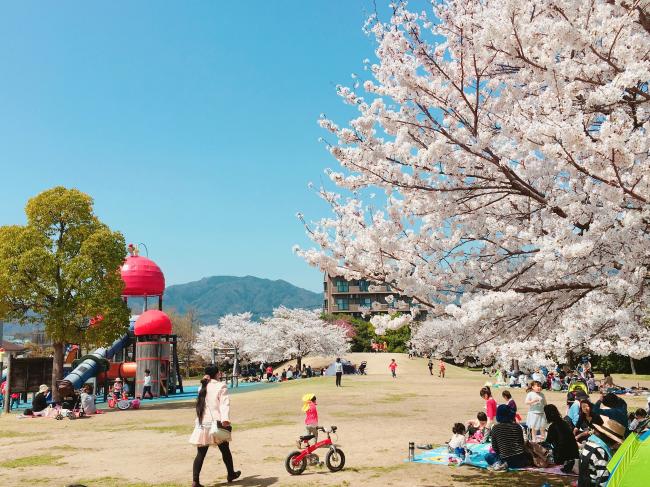 けん玉公園