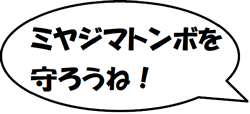 ミヤジマトンボを守ろうね！