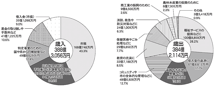 図表「平成20年度一般会計歳入・歳出の内訳」