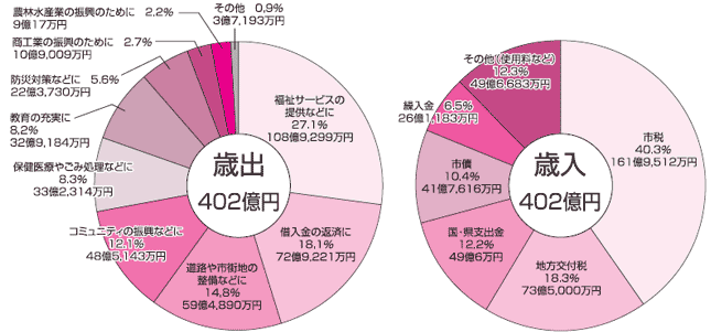  平成２１年度年度の一般会計の歳入と歳出の内訳グラフ