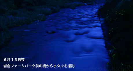岩倉ファームパーク前のホタル