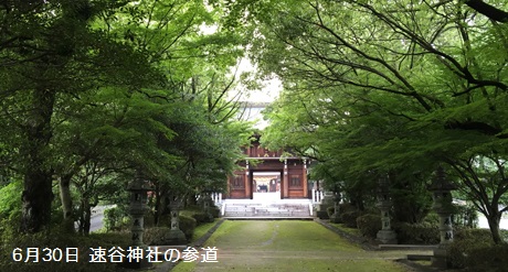 速谷神社の参道