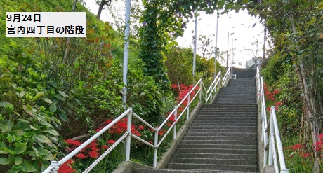 宮内4丁目の階段