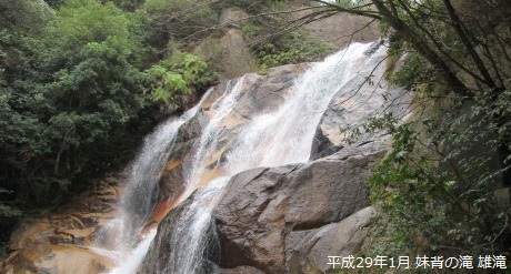 妹背の滝　雄滝