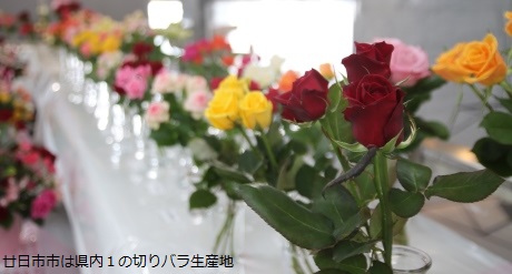 県内1の切りバラ生産地