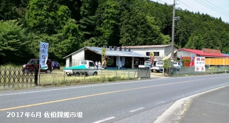 佐伯錦鯉市場