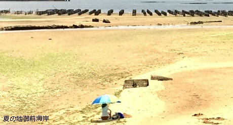 夏の地御前海岸