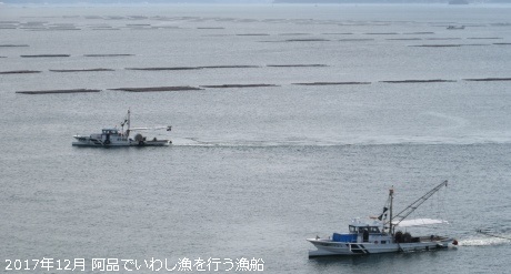 いわし漁