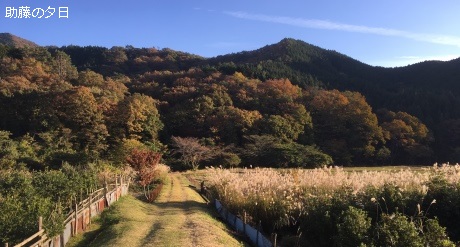 助藤の夕日
