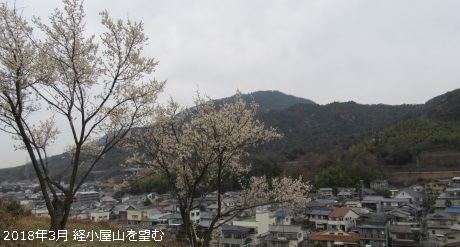 稽古屋山を望む