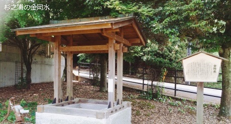 金岡水