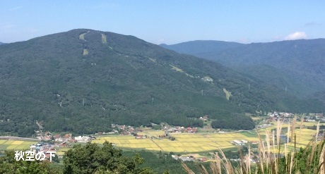 秋空の下