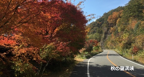 秋の羅漢峡