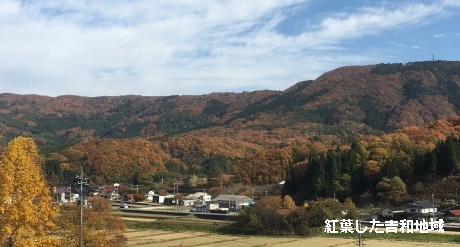 紅葉した吉和地域