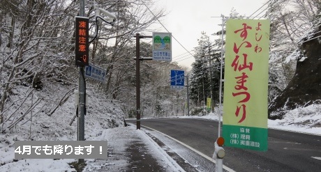 4月でも降ります！