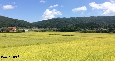 秋みぃつけた