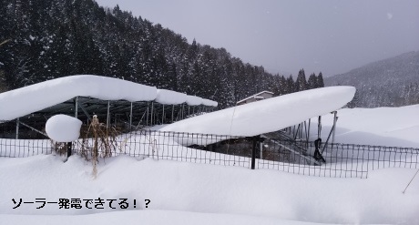 ソーラー発電できてる！？