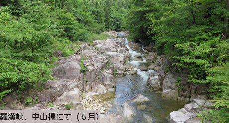 羅漢峡、中山橋にて（６月）