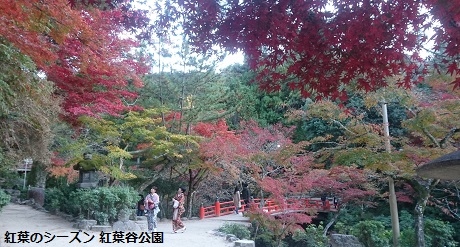 紅葉のシーズン 紅葉谷公園