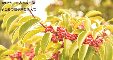 3月上旬　住吉大神宮傍