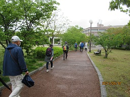 歩く様子