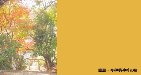 宮島・今伊勢神社の紅葉