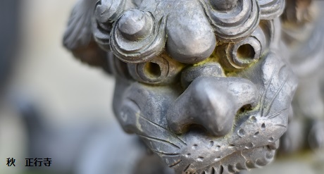 秋　正行寺