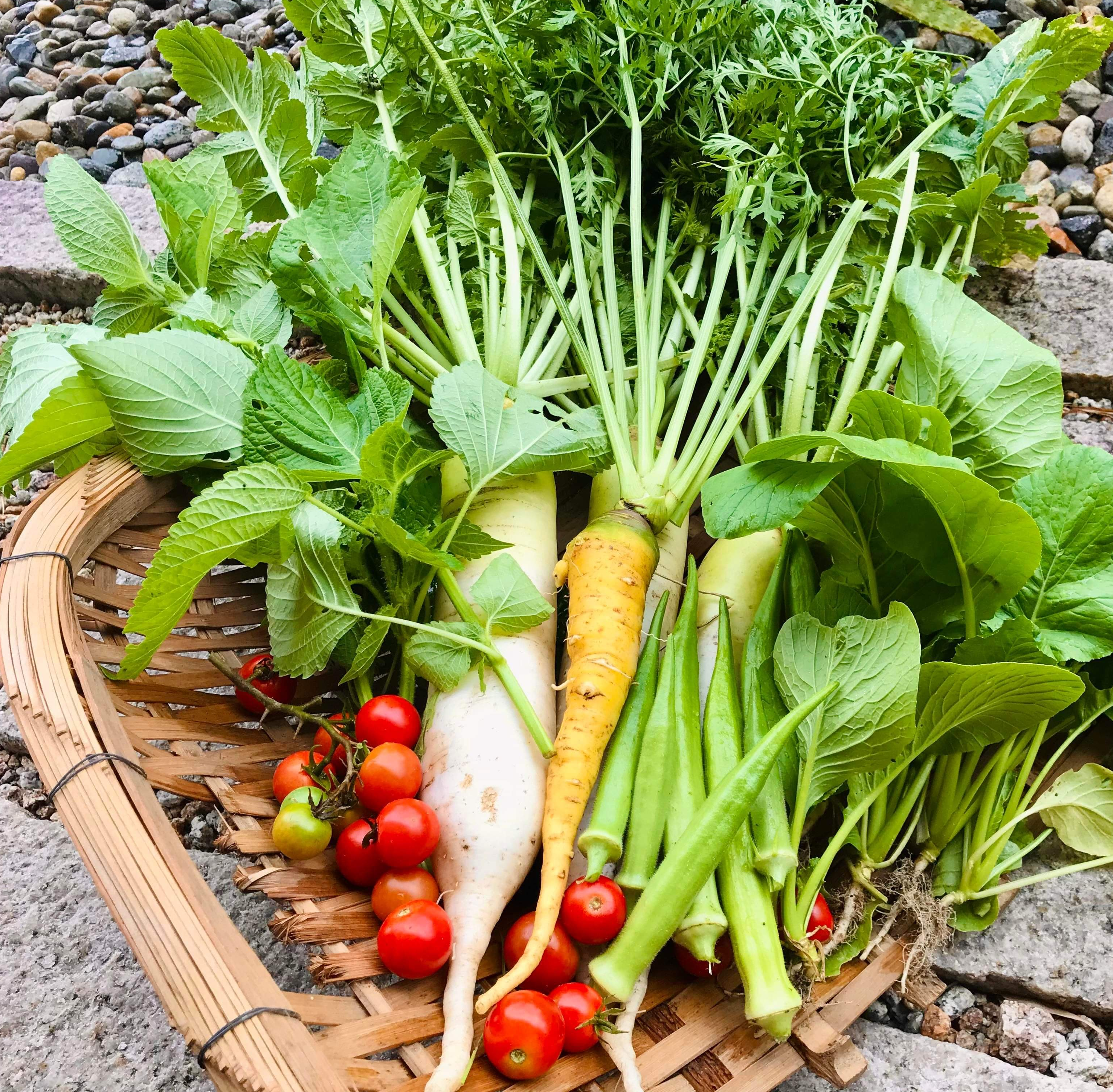野菜