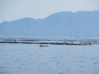 養殖場風景写真
