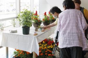 花と花舎