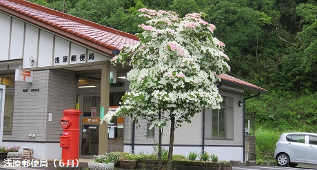 浅原郵便局（６月）
