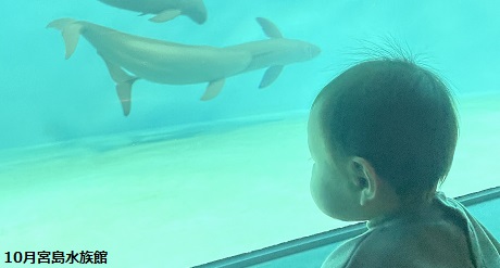 2021 10月宮島水族館