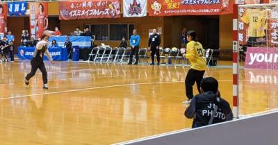 メイプルレッズ