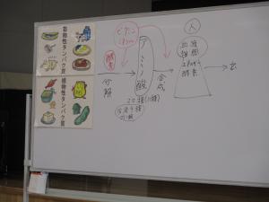ホワイトボードの内容