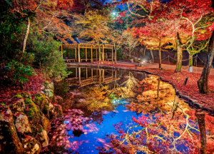 宮島の紅葉の写真