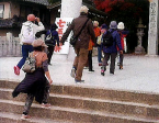 野山散策
