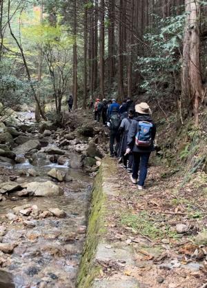渓流沿いを歩く