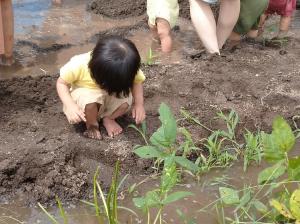 どろんこ遊び