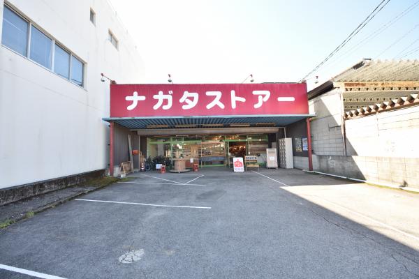 ナガスタ