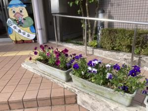 花2