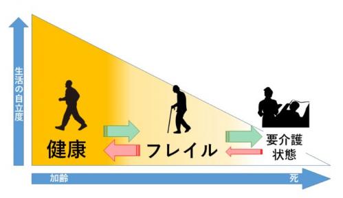フレイルに関する図