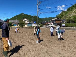 コスモス2