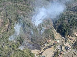 山火事の状況