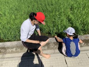 親子で生き物さがし