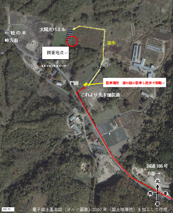 冠遺跡周辺地図