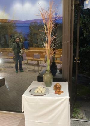 月見9