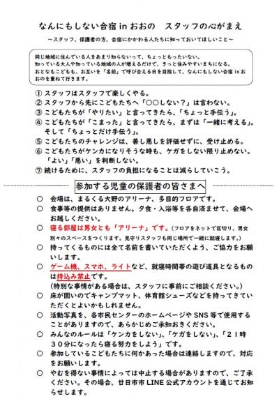 なんにもしない合宿チラシ裏（画像）