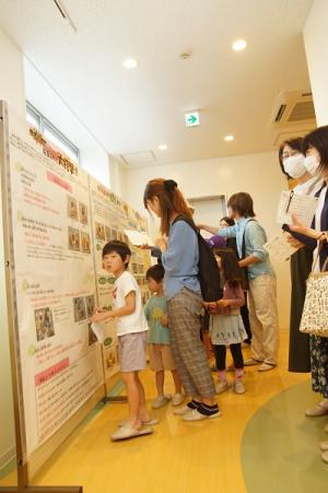 給食ニュースの展示